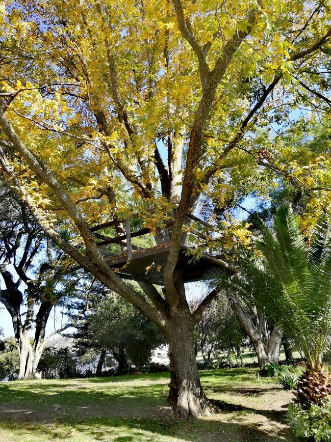 Appartamento Le Arc Manor House Franschhoek Esterno foto